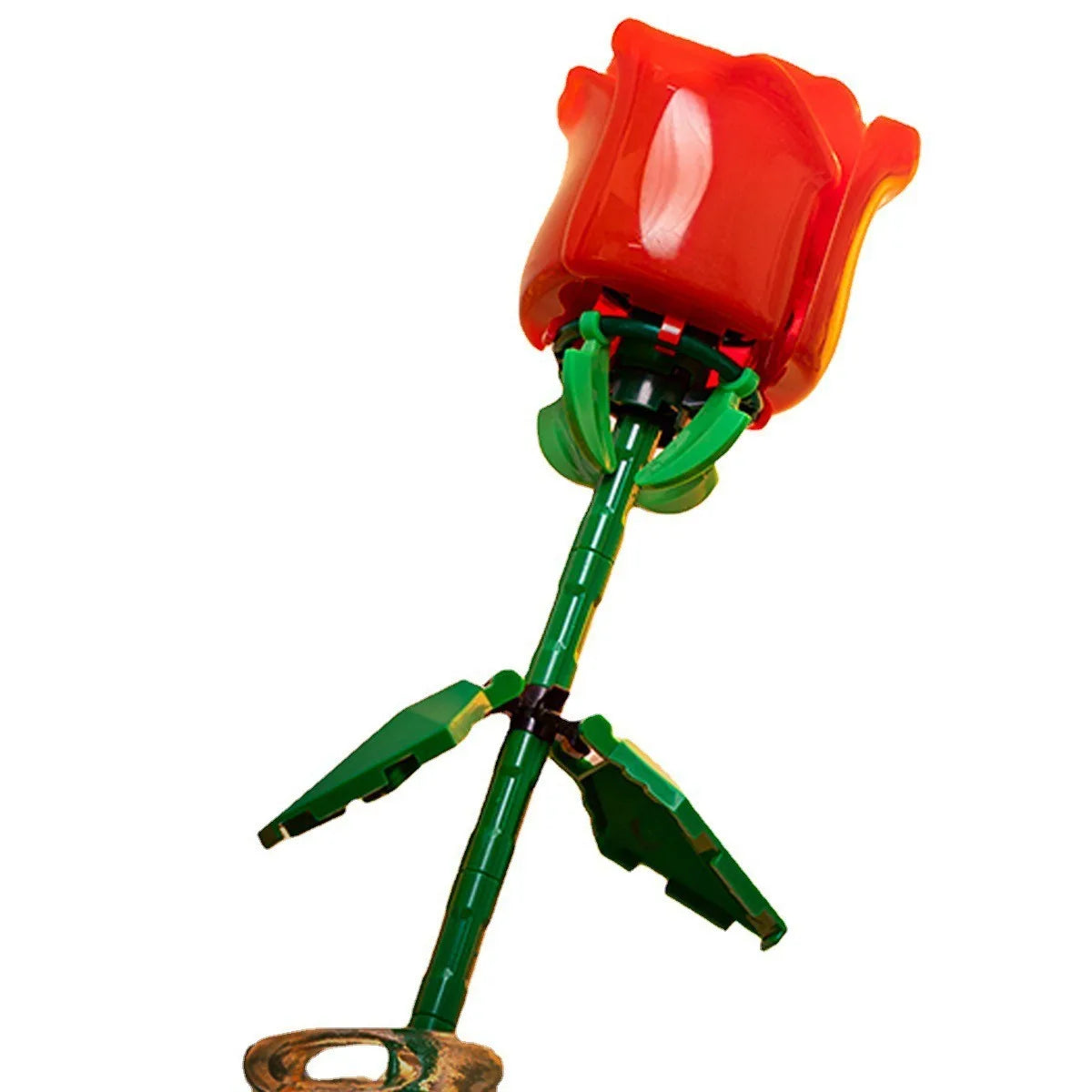 Rose, Red, Blue, Pink