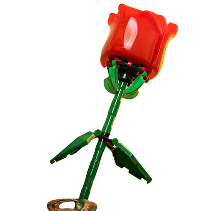 Rose, Red, Blue, Pink