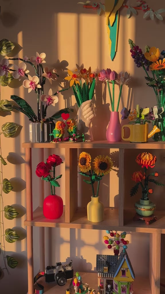 Charger la vidéo : 